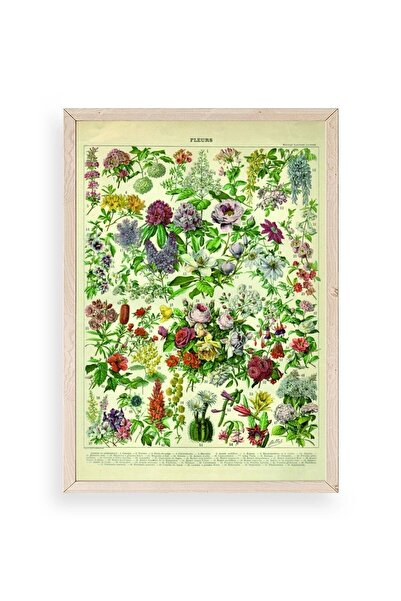 CT STONES Flowers Wooden Framed Painting