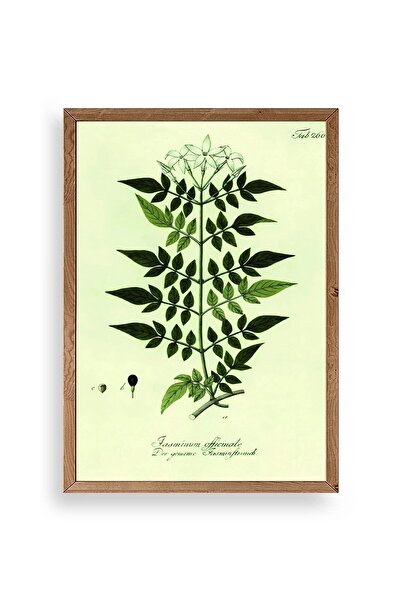 CT STONES Leaves Wooden Framed Painting