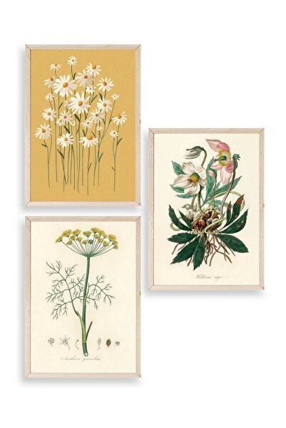 CT STONES Flower Triple Wooden Framed Painting