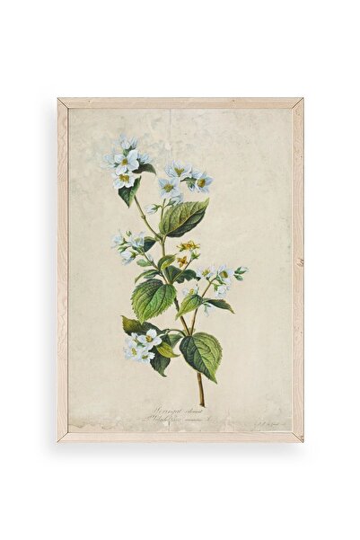 CT STONES Flower Wooden Framed Painting