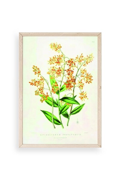 CT STONES Flower Wooden Framed Painting