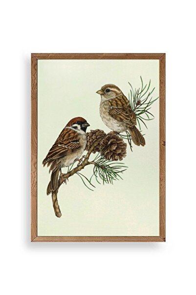 CT STONES Bird Wooden Framed Painting