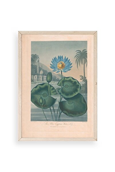 CT STONES Joseph Constantine Wooden Framed Painting