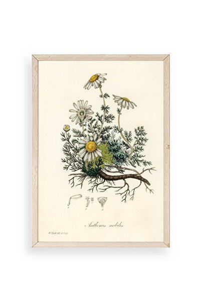 CT STONES Daisy Wooden Framed Table