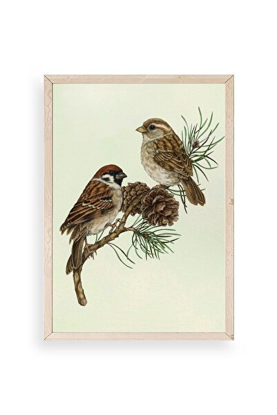 CT STONES Bird Wooden Framed Painting