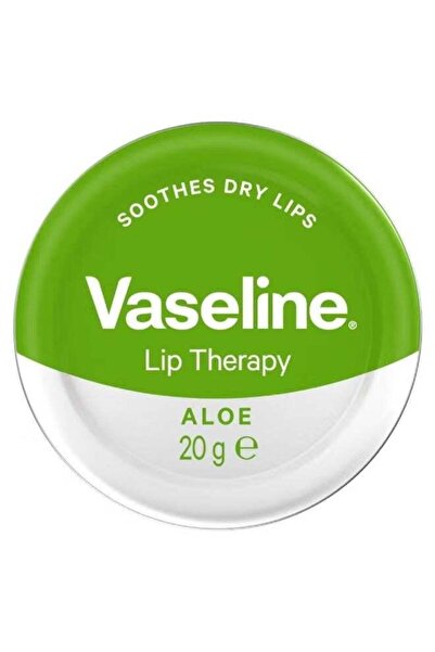 Vasline مرطب شفاه متعدد الألوان بخلاصة الصبار 20 جرام