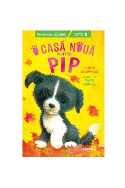 Editura Litera O noua casa pentru Pip, Linda Chapman