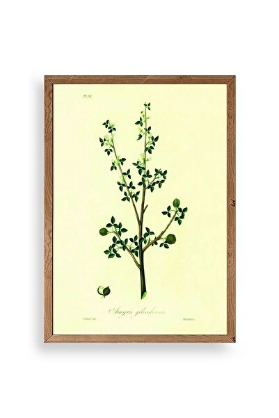 CT STONES Leaves Wooden Framed Painting