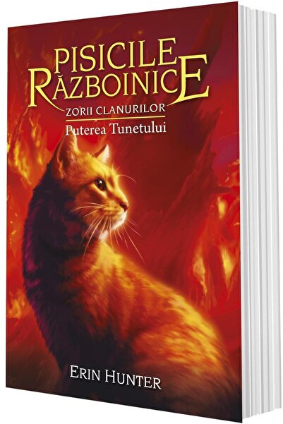 Editura All Pisicile Razboinice. Cartea a XXVI-a: Zorii clanur