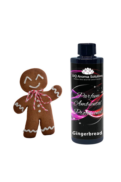10Q Aroma Solutions Gingerbread - Parfum Ambiental Profesional Rezerva 250 gr