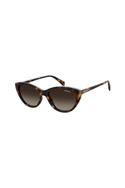 Polaroid Polarized Cat-Eye Sunglasses, Brown, 55-18-145