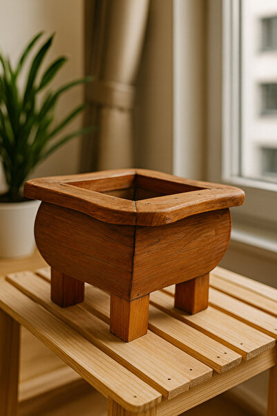 NeFizzDoğa El Yapımı Ahşap Ağaç Saksı | Dekoratif Ahşap Bitki Kabı | Masa Üst...