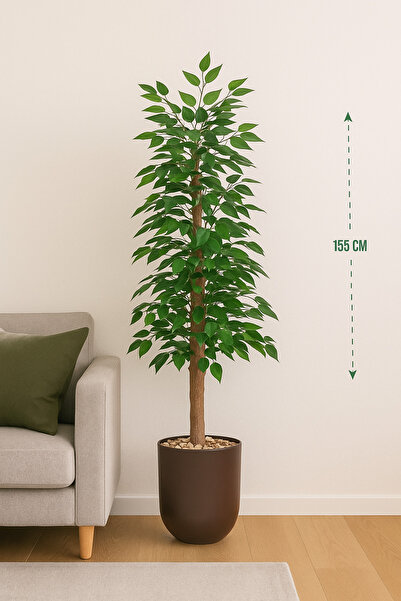 SADANHOME Ficus tree in a plastic pot - 160 cm