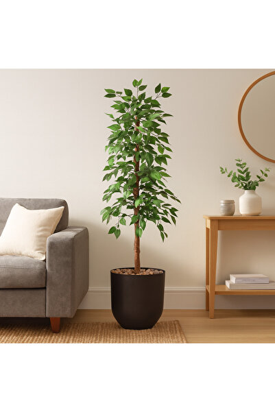 SADANHOME Bamboo leaf tree, plastic pot - 155 cm