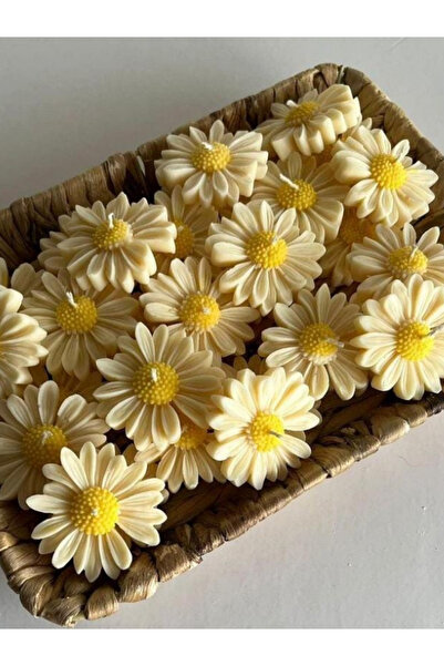 Bernami 3'lü Hediyelik Suda Yüzen Kokulu Mum ( 3 Adet )