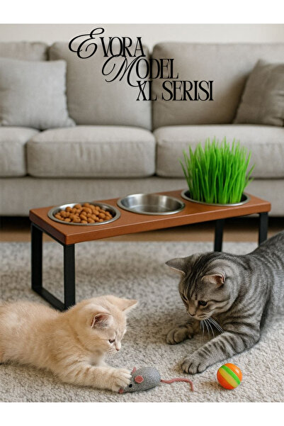 Okay %10 Eğimli Dayanıklı Mama ve Su Standı – Şık, Sağlam ve Evcil Dostu Tasarım