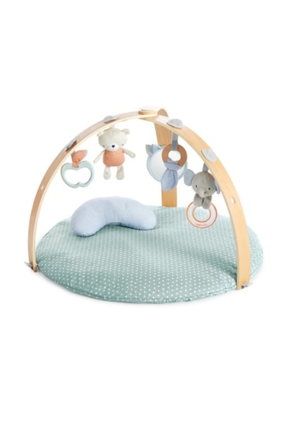 Ingenuity Cozy Spot Double-Sided Activity Mat