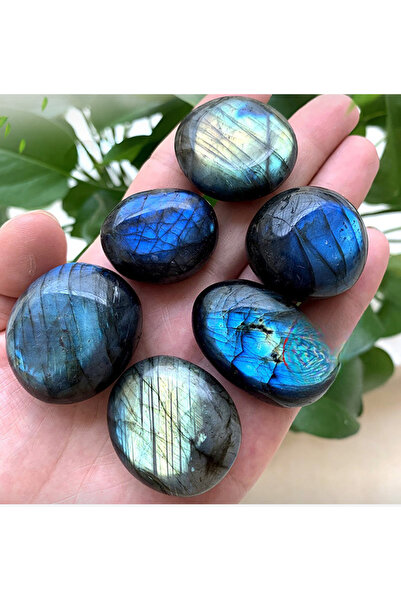 Choice قطعتان من حجر النخيل الطبيعي من اللابرادوريت، أحجار الشفاء المصقولة، ش...