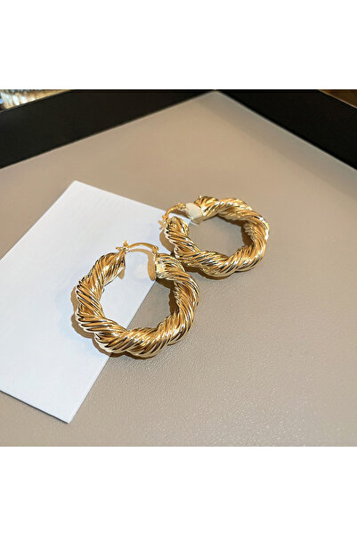 Choice أقراط حلقية ذهبية اللون من هويتان، بتصميم ملتوي، للنساء، بسيطة وأنيقة،...