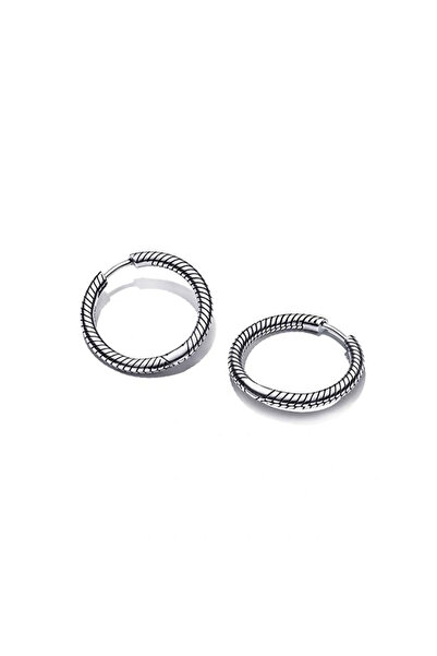 Choice P1177 أقراط فضة جديدة عيار 925 على شكل رقاقات ثلج، وطيور السنونو، والف...