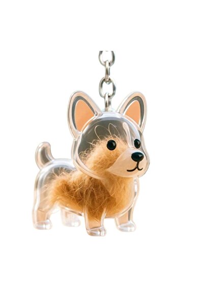 Choice C Transparent Dog Hair Collection Pendant Pet Hair Collector Keychain ...