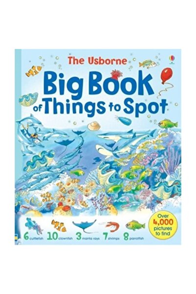 Usborne Publishing Marea Carte a Lucrurilor de Observat - Big Book of Things ...