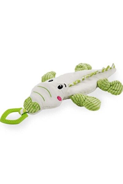 All For Paws الصديق الصغير يُريح التمساح