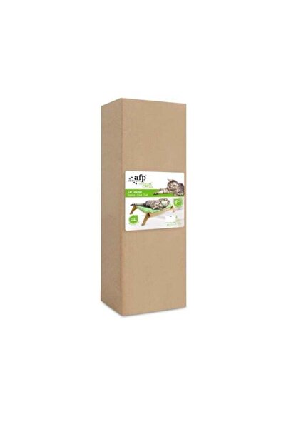 All For Paws صالة قطط عصرية باللون الأخضر