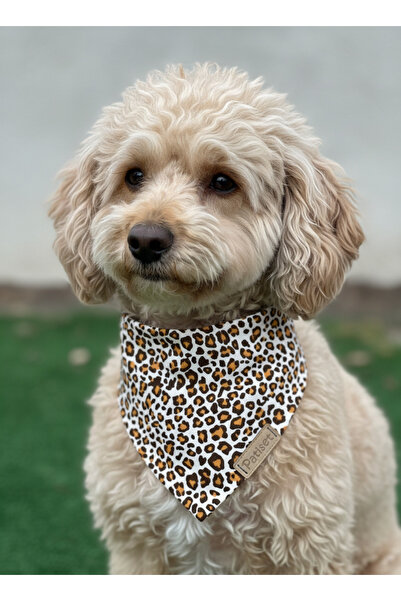 Patiset Köpek Bandanası Siyah Ve Hardal-Minik Leopar Desenli Köpek Fuları,Pet...