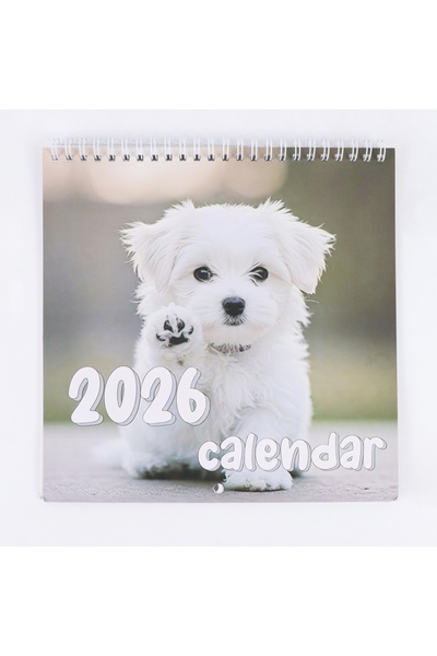 Choice تقويم مكتبي فاخر من طراز 1 لعام 2026 - مخطط شهري ويومي برسومات كلاب، ه...