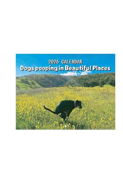 Choice تقويم واحد لعام 2026، كلاب تتبرز في أماكن جميلة، هدايا طريفة، تقويم حا...