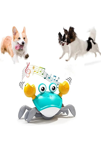 Choice لعبة سلطعون أزرق راقص للحيوانات الأليفة مع موسيقى ورقص تلقائي، متعة تفاعلية للقطط والكلاب - ترفيه داخلي للحيوانات الأليفة