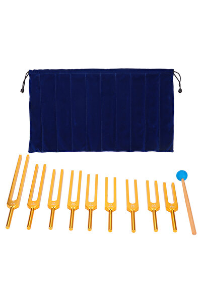 Choice شوكة رنانة، مجموعة شوكات رنانة، مجموعة شوكات رنانة، شوكة رنانة رنانة م...