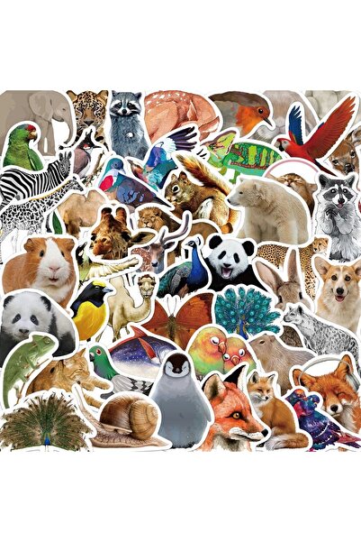 Choice 50PCS 50PCS Cute Fun Animal Worlds Panda/Bird/Giraffe/Dog/Lion Creativ...