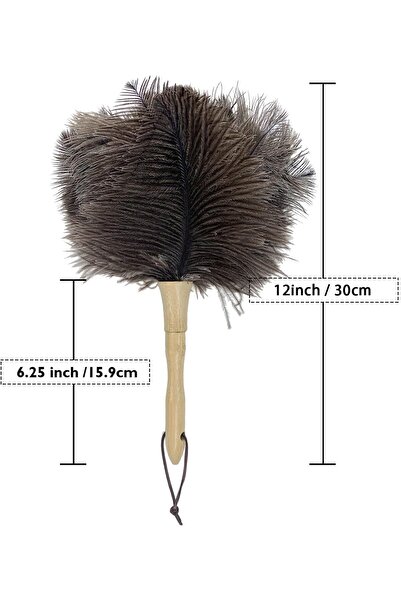 Generic Ostrich Hair Duster - Natural Ostrich Feather with Long Handle