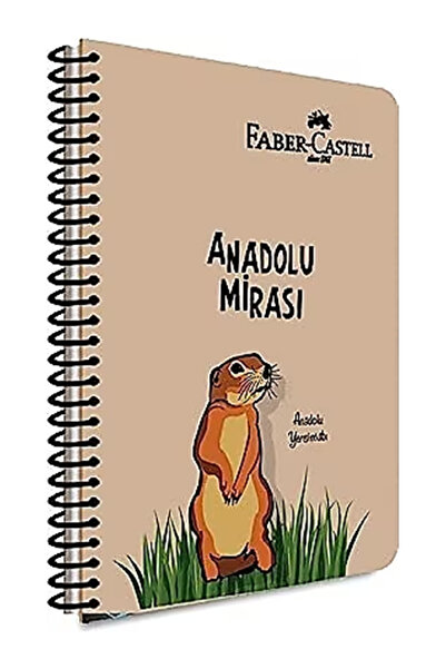Faber Castell PP Kapak Anadolu Mirası Spiralli Defter A4 Boyutunda 80yp. Çizgili