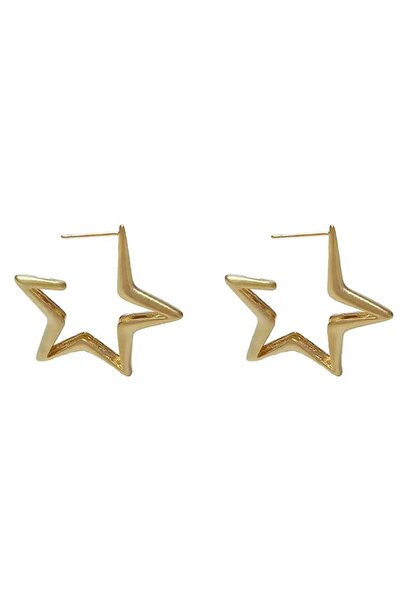 New Obsessions Gold Color Star Figured Steel Earrings