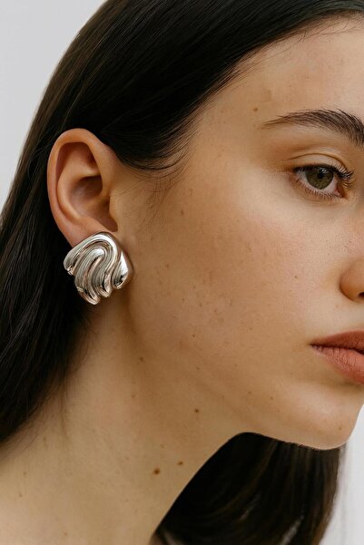 New Obsessions Silver Color Steel Earrings