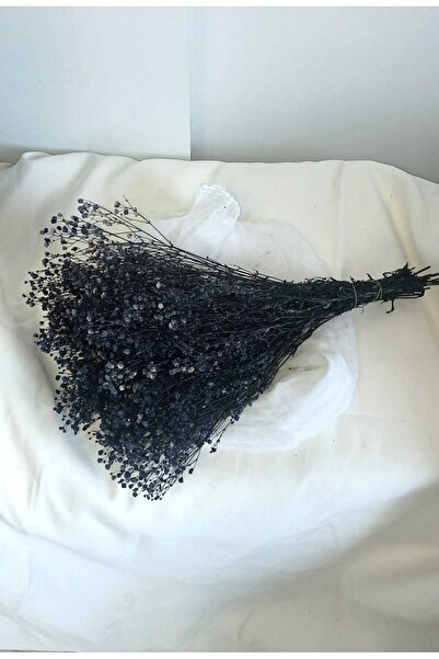 Birlik Cipso Şoklanmış Koyu Mor