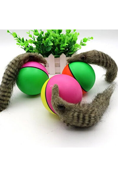 Twin Store Animated Raccoon Cat Dog Toy