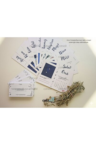 catsall Ruhunu Besle: 2026 Niyet Takvimi ve Pozitif Yaşam Kartları (Adaçayı Tütsü Hediye!) - Rezonans Kanunu