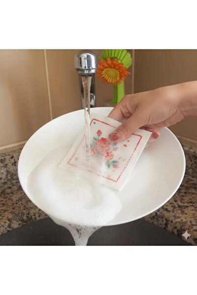 Marsilyan Ieg ™   Sponge That Grows in Water