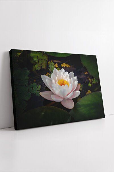 KOSS Dijital Floare de lotus în lac, peisaj cu plante acvatice, pictură pe pâ...