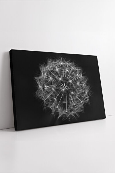 KOSS Dijital Pictură pe pânză cu detalii macro de păpădie alb-negru, artă cu ...