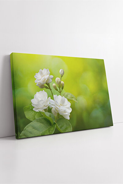 KOSS Dijital Бял жасмин цвете Натурален зелен фон Мирен ботанически визуален ...