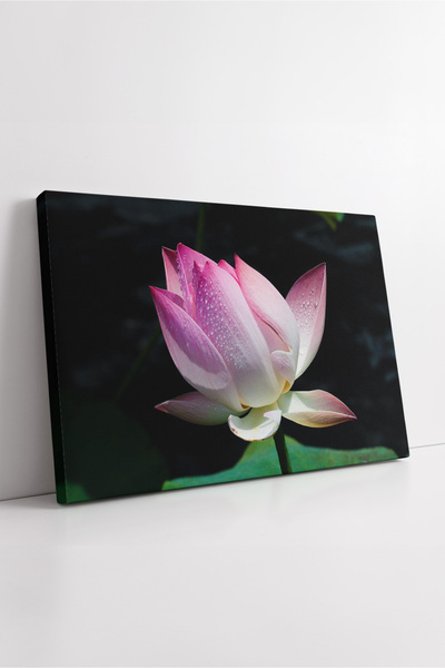 KOSS Dijital Pictură pe pânză cu flori de lotus roz, pe suprafața apei, elega...