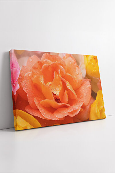 KOSS Dijital Πορτοκαλί και κίτρινο λουλούδι σε κοντό μήκος ζωηρόχρωμο μοντέρν...