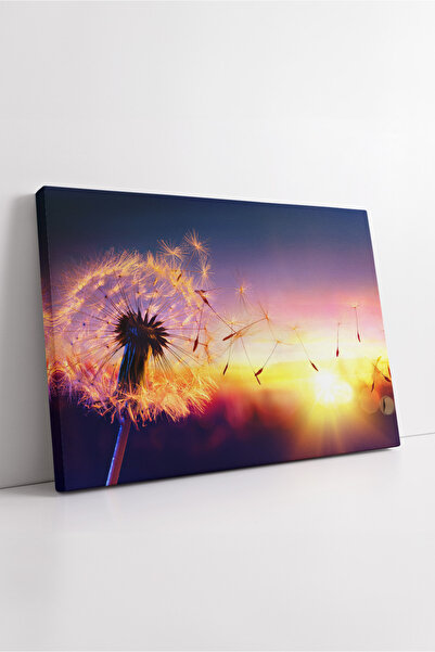 KOSS Dijital Dandelion in Sunset Light Photo Canvas Painting Colorful Atmosph...