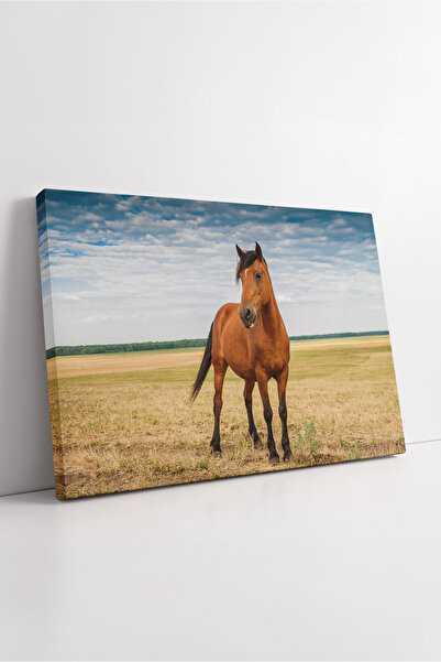 KOSS Dijital Πίνακας σε καμβά με οριζόντιο τοπίο με άγρια άλογα, μοντέρνα δια...