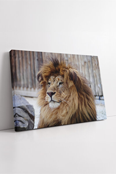 KOSS Dijital Ρεαλιστικό πορτρέτο λιονταριού Λεπτομερές μοντέρνο διακοσμητικό ...